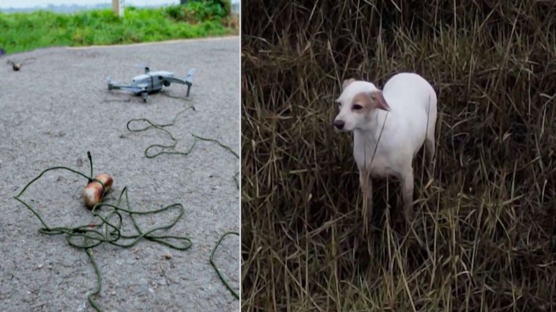 Při záchraně psa z bažiny musel do akce dron s buřtem na provázku